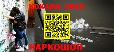 СК Тара