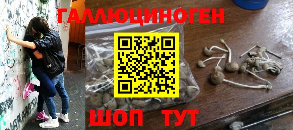 Псилоцибиновые грибы мицелий Тобольск
