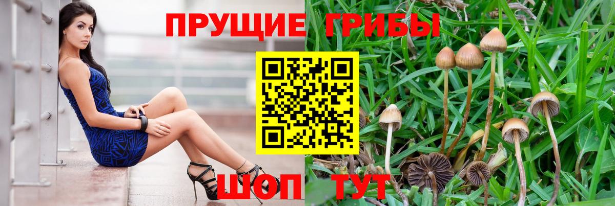 Тобольск  Галлюциногенные грибы Magic Shrooms  Псилоцибиновые грибы мухоморы  Вход с VPN 